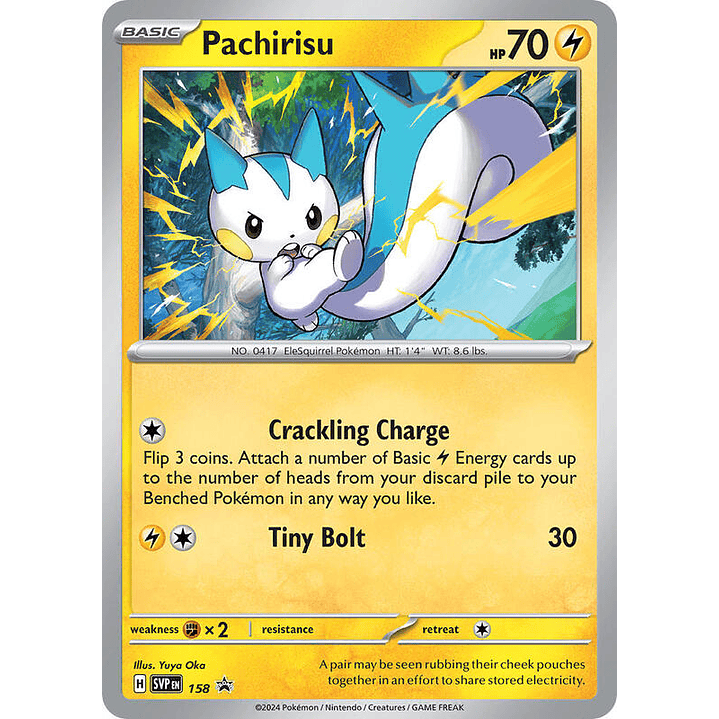 Pachirisu #158 1