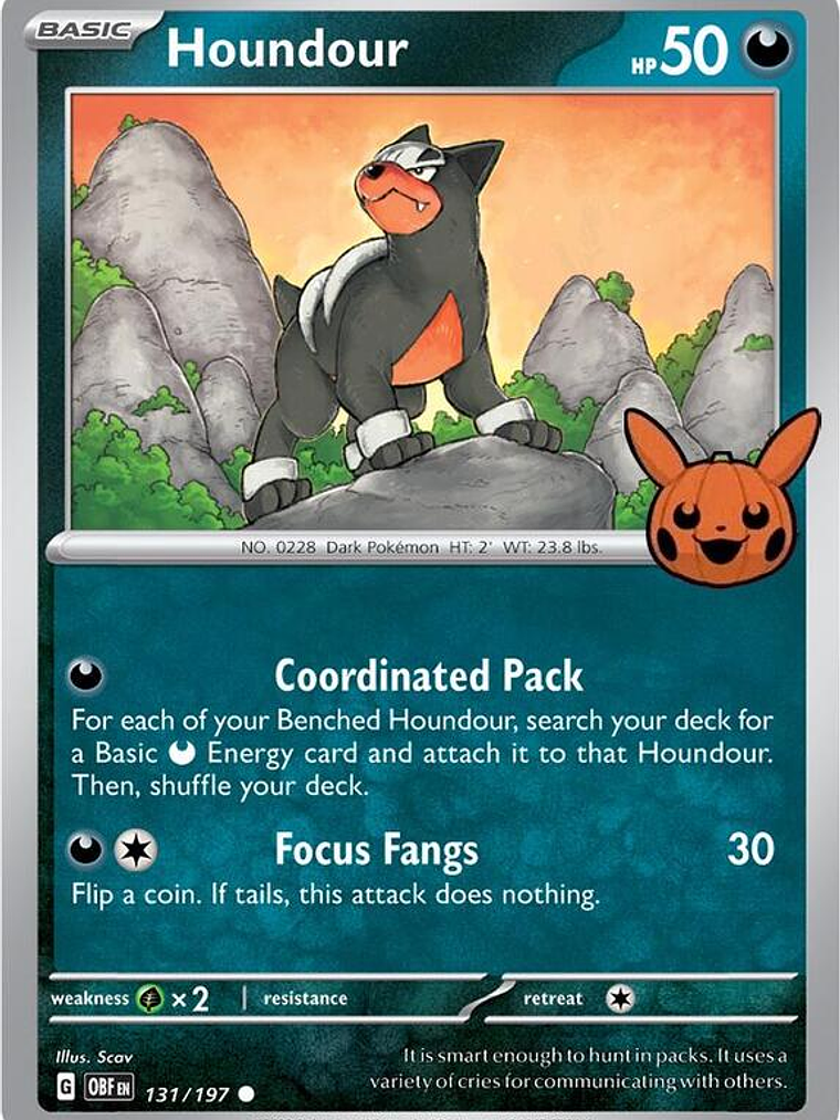 Houndour #131 1