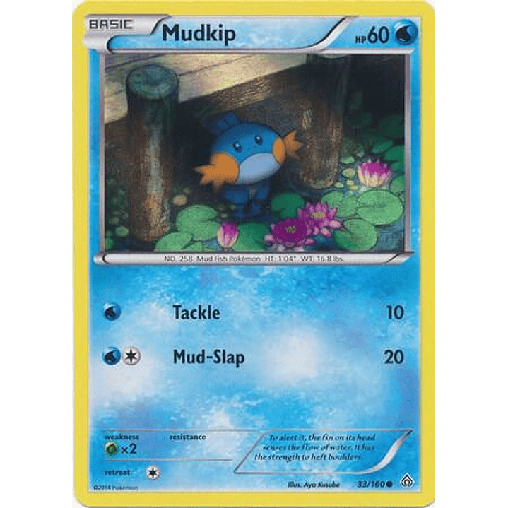 Mudkip - 33/160 (Sheen Holo) #033 1