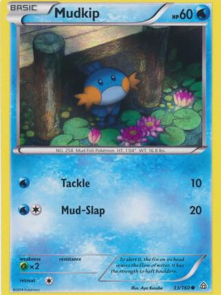 Mudkip - 33/160 (Sheen Holo) #033 1