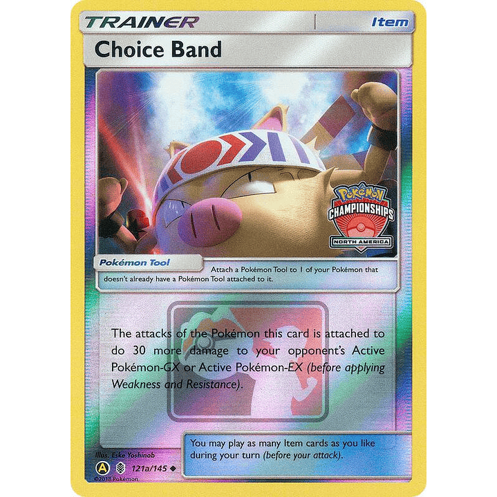 Choice Band - 121a/145 (North America Championships) #121a 1