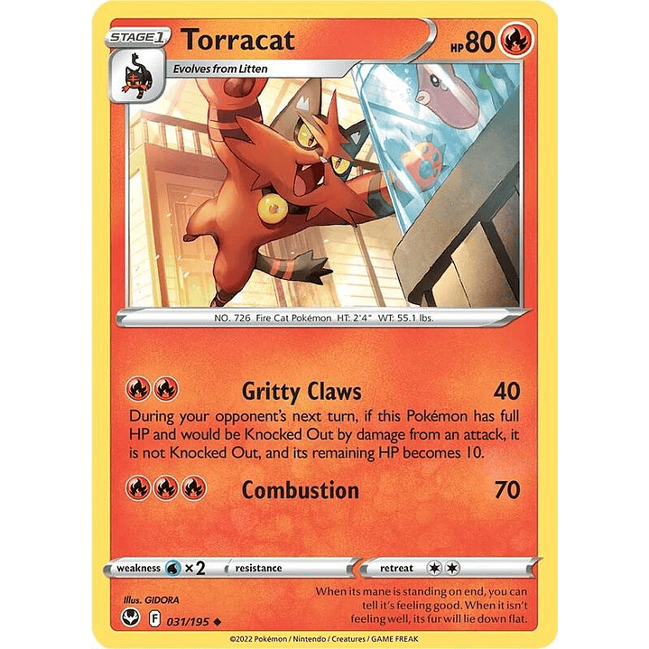 Torracat #031 1