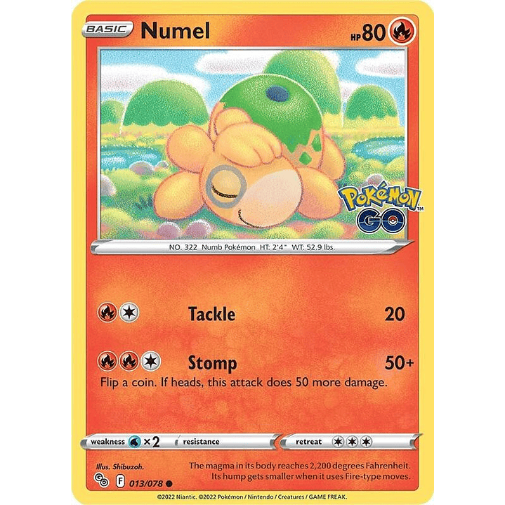 Numel #013 1