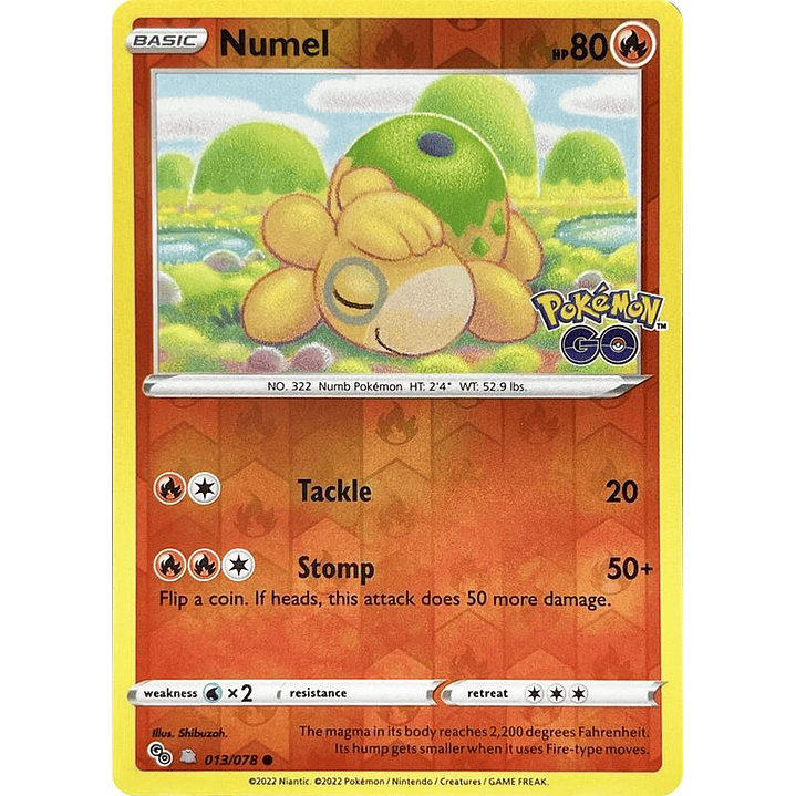 Numel #013 1
