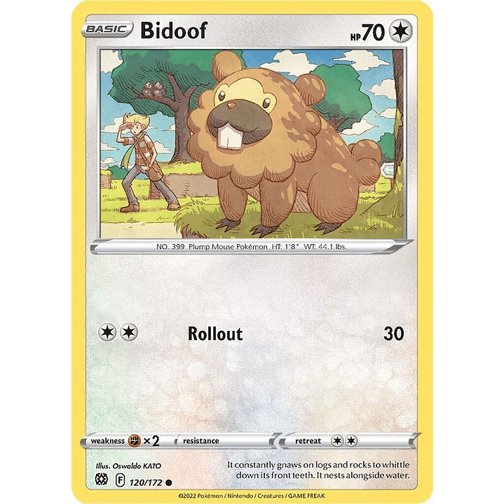 Bidoof #120 1