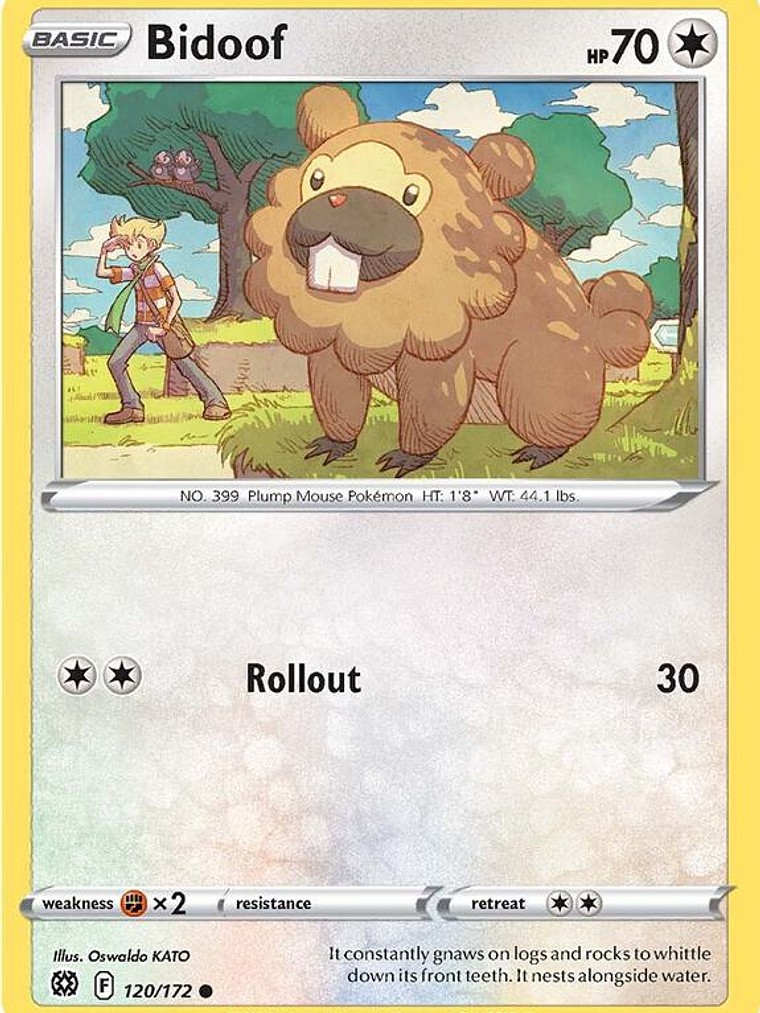 Bidoof #120 1