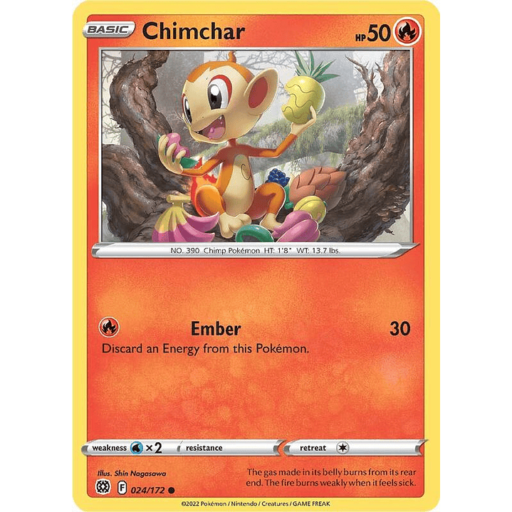 Chimchar #024 1