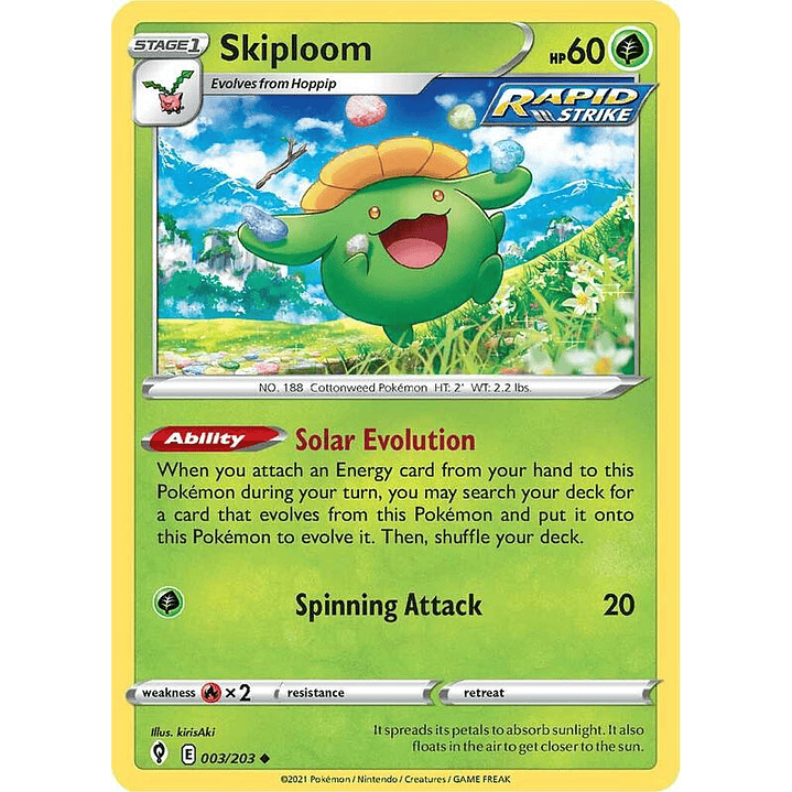 Skiploom #003 1