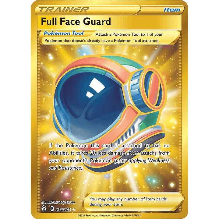 Full Face Guard #231 1