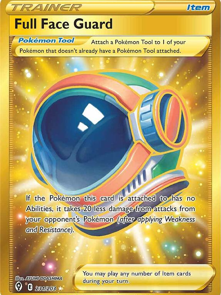 Full Face Guard #231 1