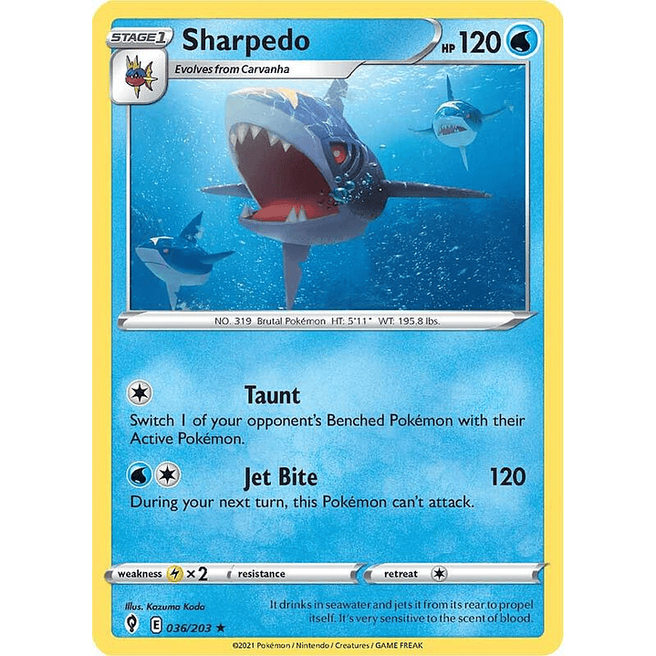 Sharpedo #036 1
