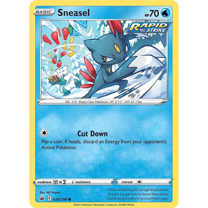 Sneasel #030 1