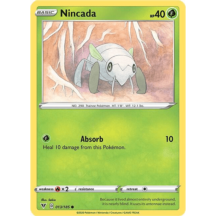 Nincada #013 1