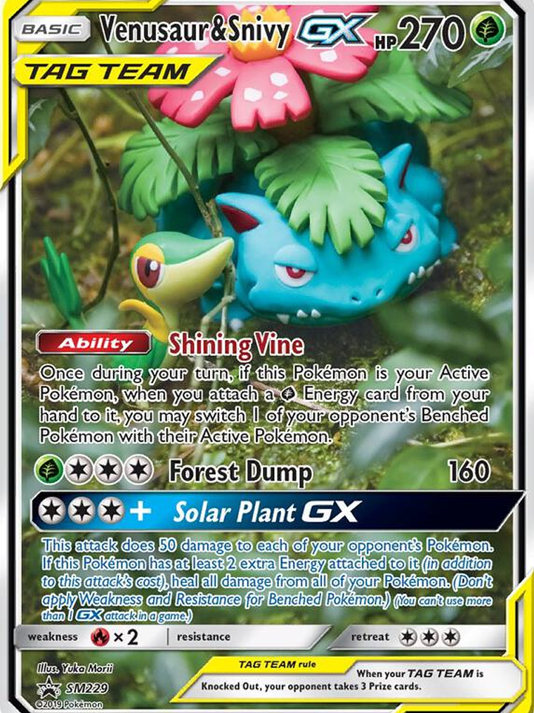 Venusaur & Snivy GX #SM229 1