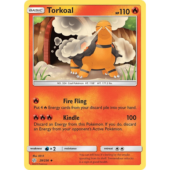 Torkoal #29 1