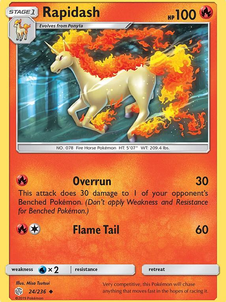 Rapidash #24 1