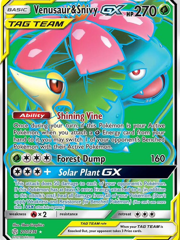 Venusaur & Snivy GX #210 1