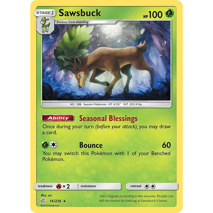 Sawsbuck #16 1