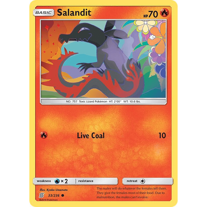 Salandit #33 1