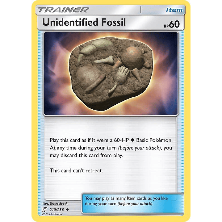 Unidentified Fossil #210 1