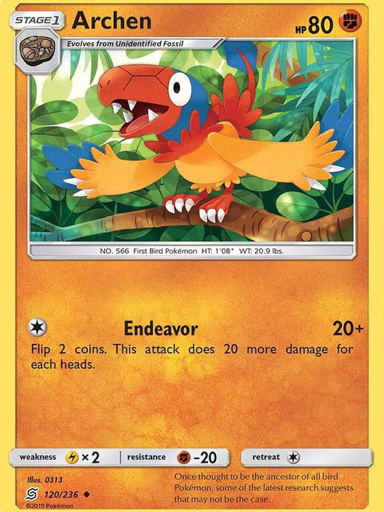 Archen #120 1