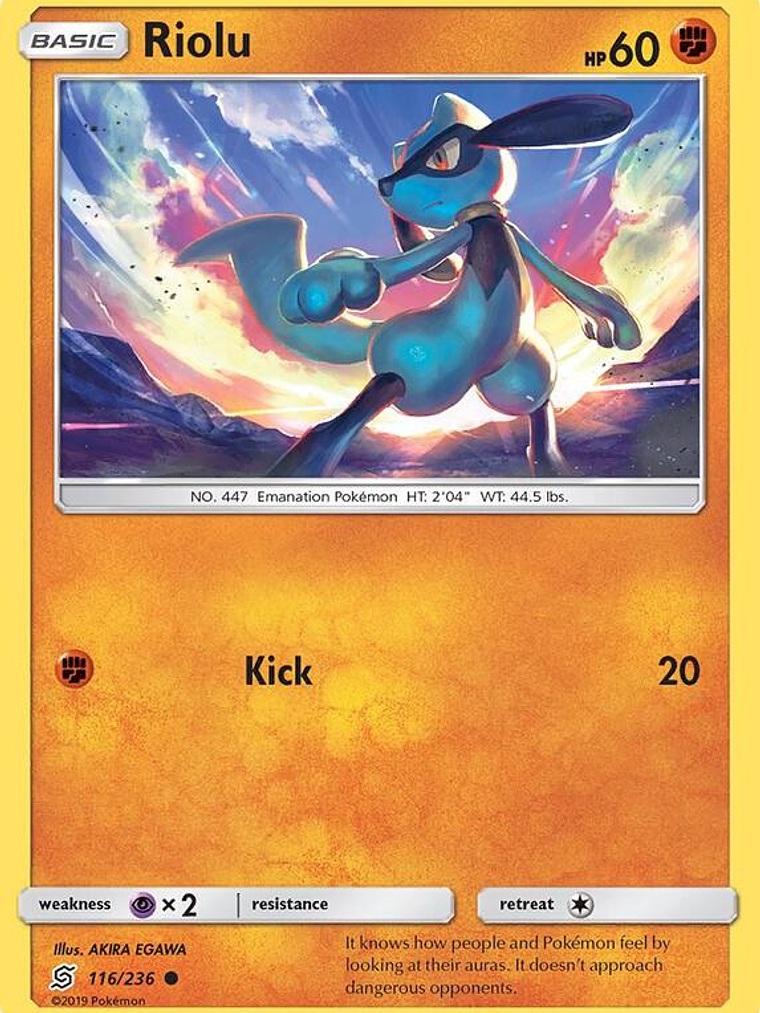 Riolu #116 1