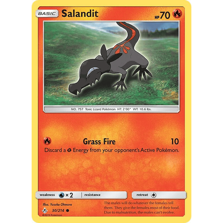 Salandit #30 1