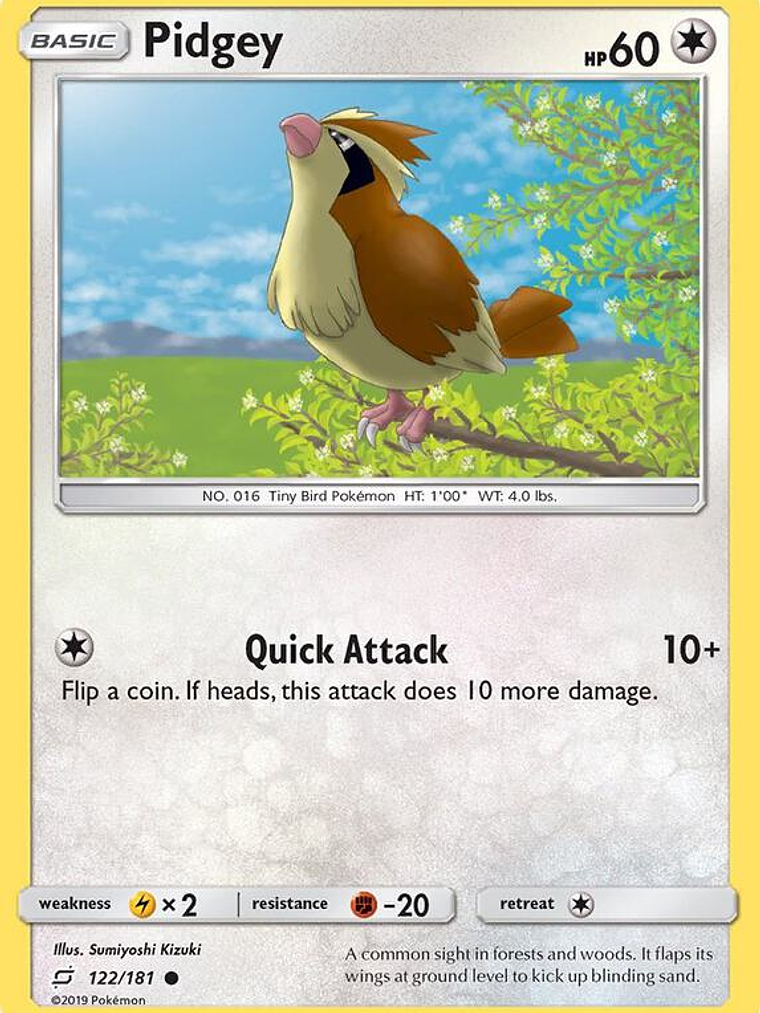 Pidgey #122 1