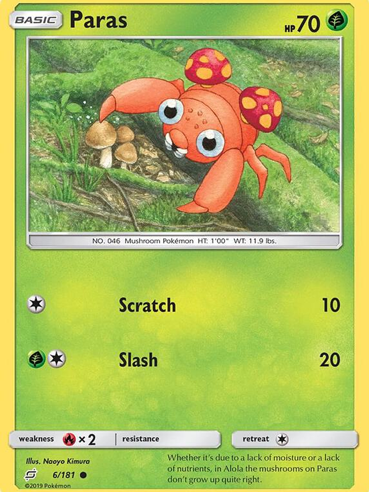 Paras #6 1