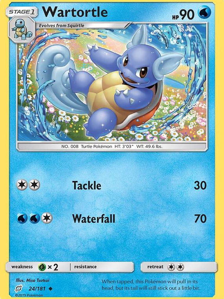 Wartortle #24 1