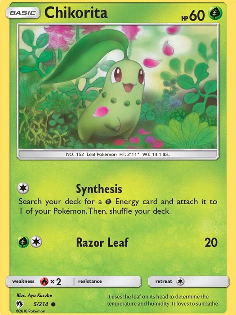 Chikorita #5 1