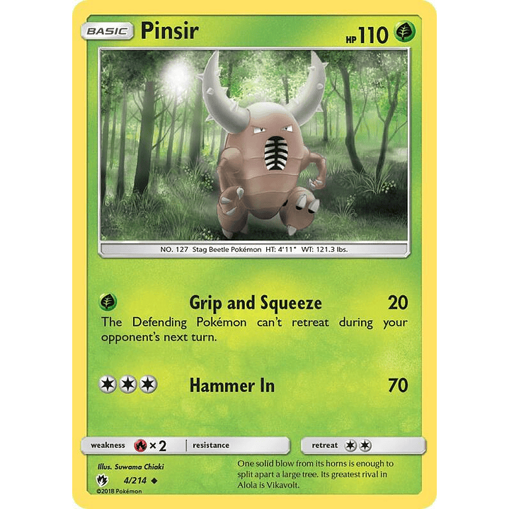 Pinsir #4 1