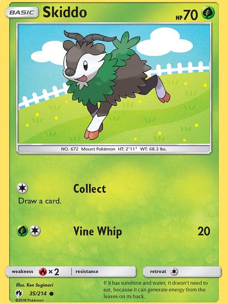 Skiddo #35 1