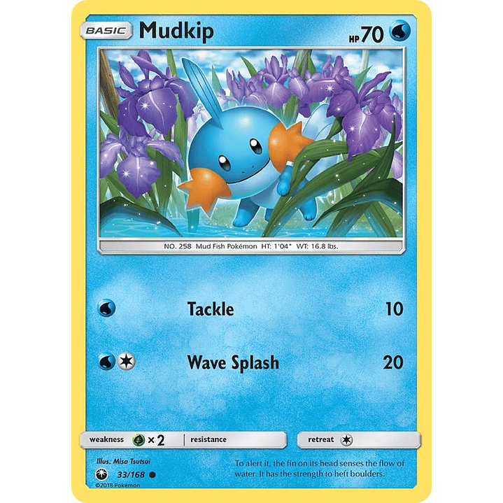 Mudkip #33 1