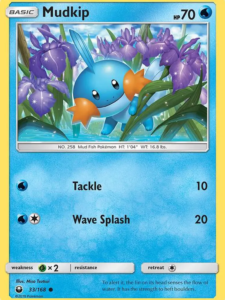 Mudkip #33 1