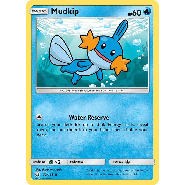 Mudkip #32 1