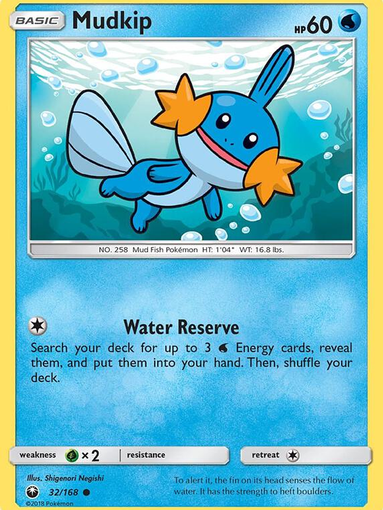 Mudkip #32 1