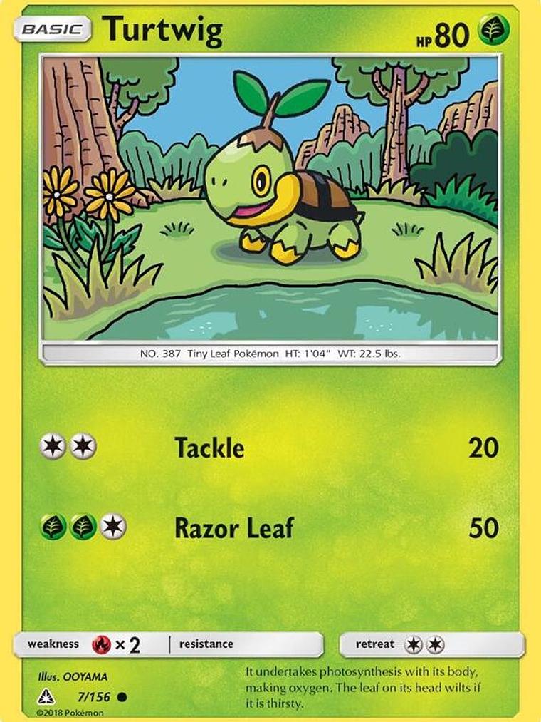 Turtwig #7 1
