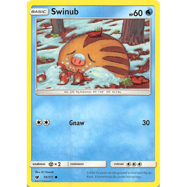 Swinub #19 1