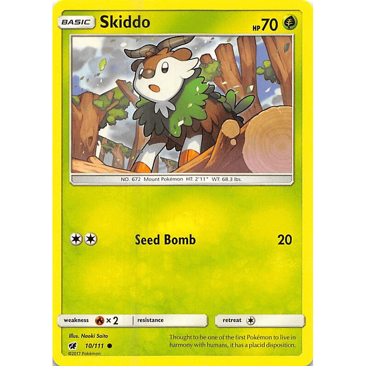 Skiddo #10 1