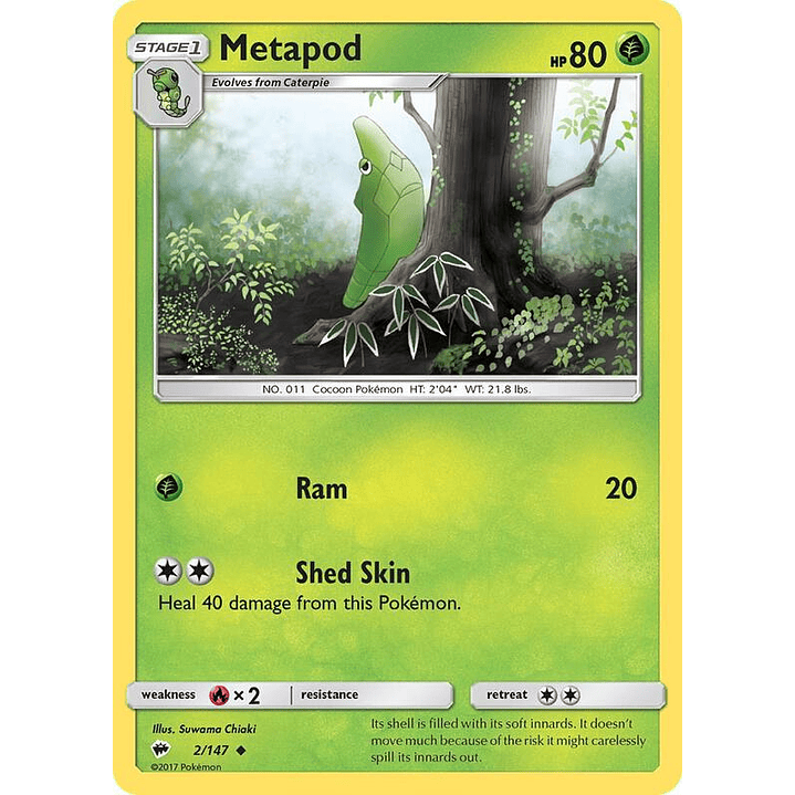 Metapod #2 1