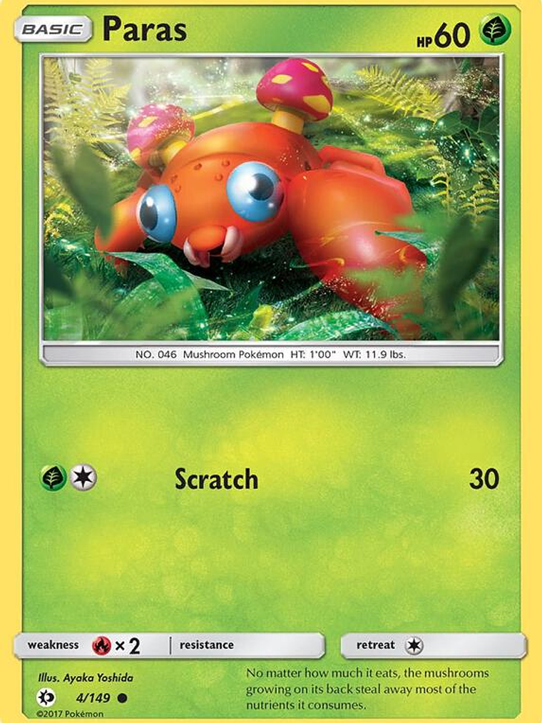 Paras #4 1