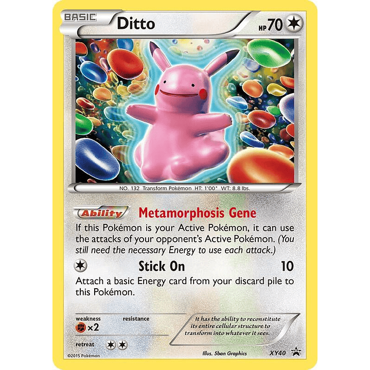 Ditto #XY40 1