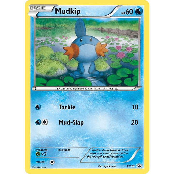 Mudkip #XY38 1