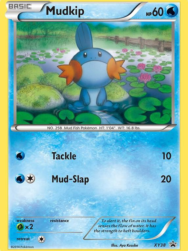 Mudkip #XY38 1