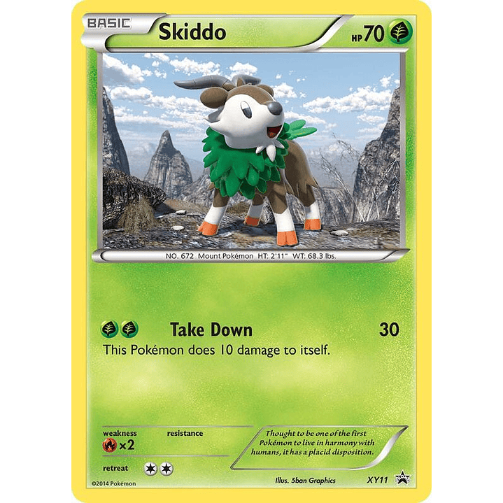 Skiddo #XY11 1