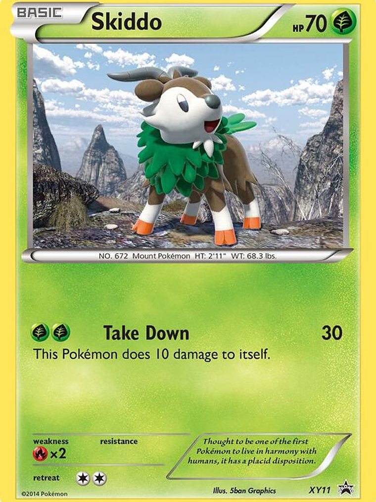 Skiddo #XY11 1