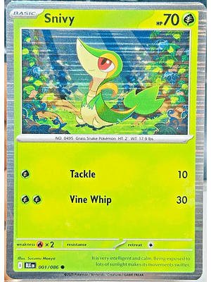 Snivy (Holo) #001