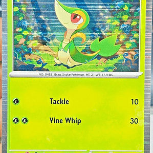 Snivy (Holo) #001