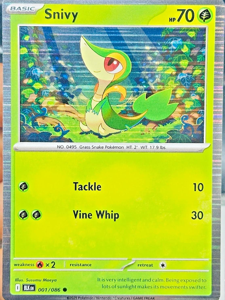 Snivy (Holo) #001 1
